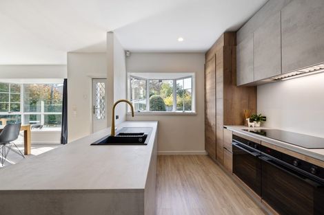 Photo of property in 11a Ashgrove Terrace, Somerfield, Christchurch, 8024