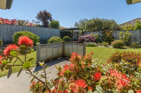 Photo of property in 66 Carrington Drive, Papamoa Beach, Papamoa, 3118