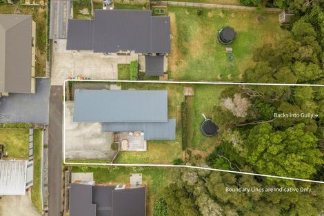 Photo of property in 6 Allendale Place, Morrinsville, 3300