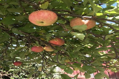 Photo of property in 16 Boundary Road, Lincoln, 7608