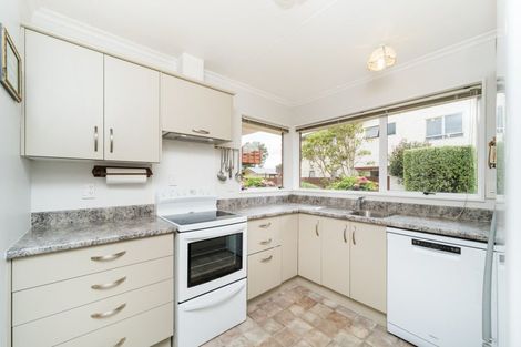 Photo of property in 45 Dittmer Drive, Awapuni, Palmerston North, 4412