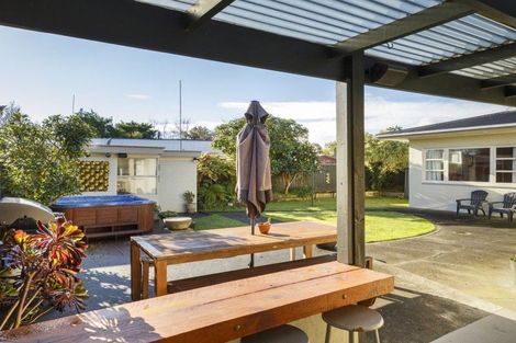 Photo of property in 395 Ruahine Street, Terrace End, Palmerston North, 4410