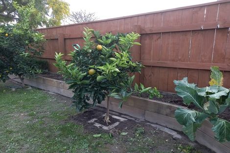 Photo of property in 1407 Caroline Road, Mayfair, Hastings, 4122