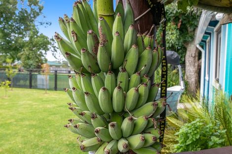 Photo of property in 75 Maygrove Drive, Orewa, 0931