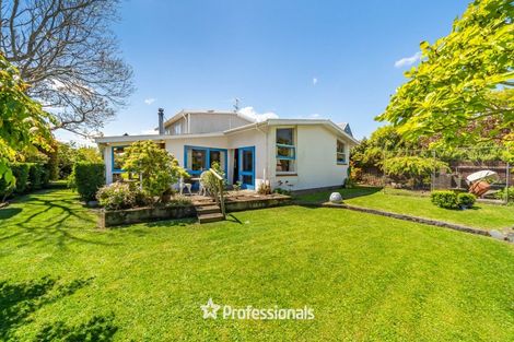 Photo of property in 48a Pretoria Street, Hutt Central, Lower Hutt, 5010