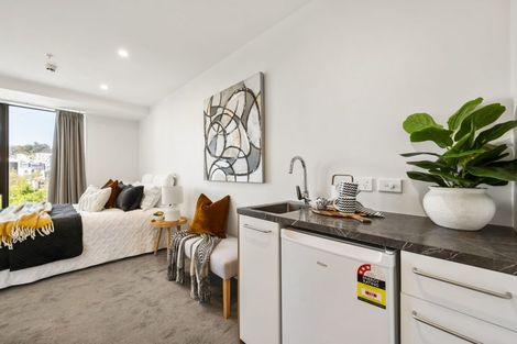 Photo of property in Vsp South, 301/168 Victoria Street, Te Aro, Wellington, 6011