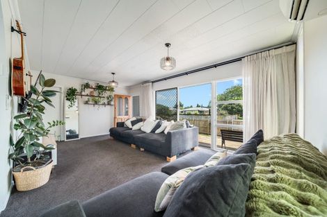 Photo of property in 17 Lethborg Street, Dinsdale, Hamilton, 3204