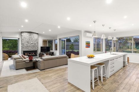 Photo of property in 123 Three Oaks Drive, Dairy Flat, Albany, 0794