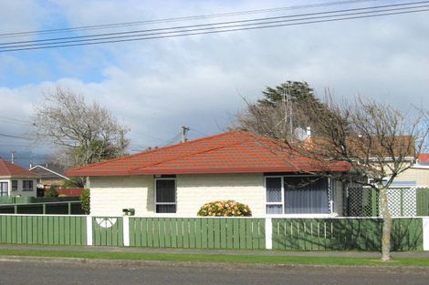 Photo of property in 22 Manchester Street, Levin, 5510