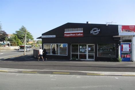 Photo of property in 82 Palmerston Street, Hamilton Lake, Hamilton, 3204