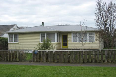Photo of property in 46 Graham Street, Levin, 5510