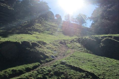 Photo of property in 6339 Matawai Road, Matawai, 4075