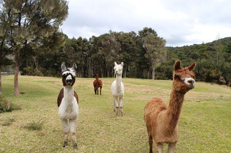 Photo of property in 511 Paranui Road, Taipa, Kaitaia, 0483