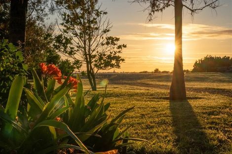 Photo of property in 42 Waimanu Place, Point Wells, 0986