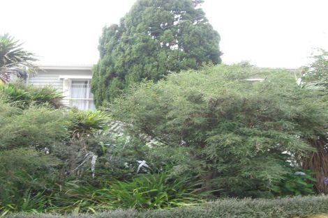 Photo of property in 5 Manley Terrace, Newtown, Wellington, 6021