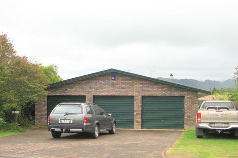 Photo of property in 9 Norwood Road, Paeroa, 3600