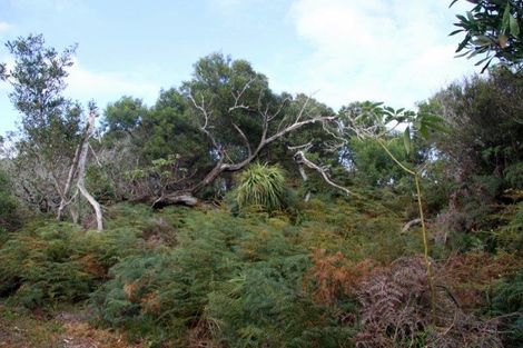 Photo of property in 63 Trig Road, Houhora, Kaitaia, 0484