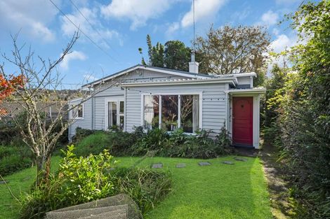 Photo of property in 117 Hutchinson Avenue, New Lynn, Auckland, 0600