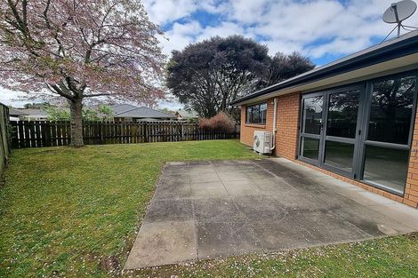 Photo of property in 19 Mickelson Avenue, Rototuna, Hamilton, 3210