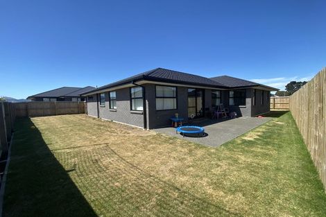 Photo of property in 24 Lotus Place, Wigram, Christchurch, 8025