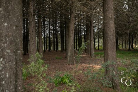 Photo of property in 1430 Kereru Road, Kereru, Hastings, 4171