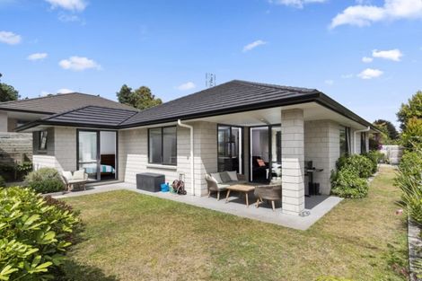 Photo of property in 157 Ohauiti Road, Hairini, Tauranga, 3112