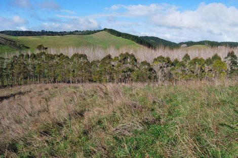 Photo of property in 542e Oneriri Road, Kaiwaka, 0573