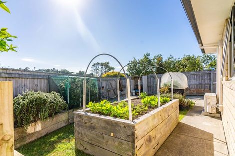 Photo of property in 196 Thelma Road, Mangawhai Heads, Mangawhai, 0505