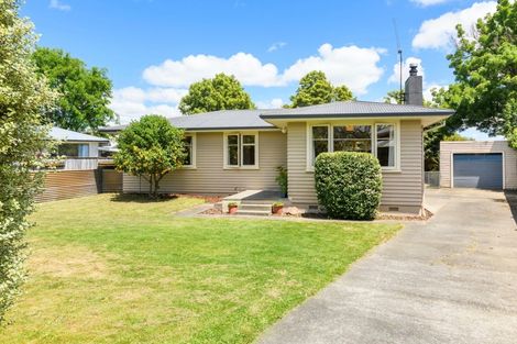 Photo of property in 26 Snowdon Avenue, Terrace End, Palmerston North, 4410