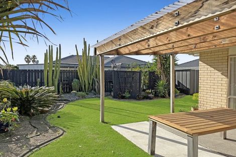 Photo of property in 223 Gloucester Road, Mount Maunganui, 3116