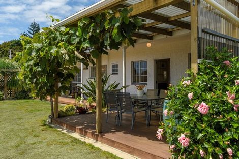 Photo of property in 113 Laurence Street North, Gate Pa, Tauranga, 3112