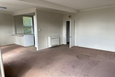 Photo of property in 4 Airedale Street, Dunedin Central, Dunedin, 9016