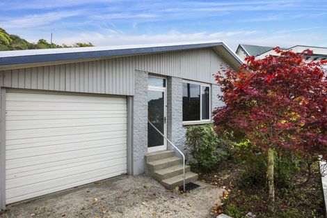 Photo of property in 52c Royal Terrace, Dunedin Central, Dunedin, 9016