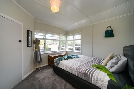 Photo of property in 41 Shamrock Street, Takaro, Palmerston North, 4412