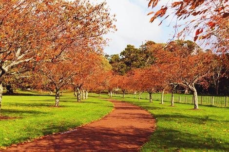 Photo of property in 1/696 Manukau Road, Royal Oak, Auckland, 1023