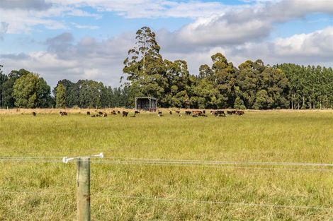 Photo of property in 45 Factory Road, Sefton, 7477