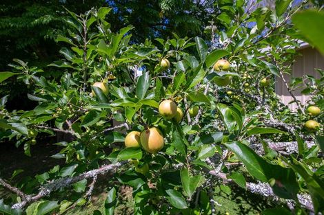 Photo of property in 12 Ohinewai Road North, Ohinewai, Huntly, 3771