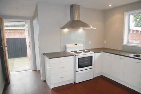 Photo of property in 145 Buchanans Road, Hei Hei, Christchurch, 8042