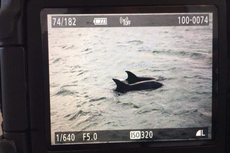 Photo of property in 43b Swann Beach Road, Stanmore Bay, Whangaparaoa, 0932