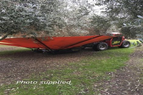 Photo of property in 22 Lethbridge Street, Feilding, 4702