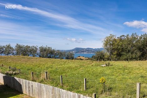 Photo of property in 20 Kilgour Street, Roslyn, Dunedin, 9010