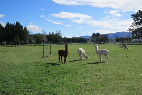 Photo of property in 75 Mount Nessing Road, Albury, Cave, 7984
