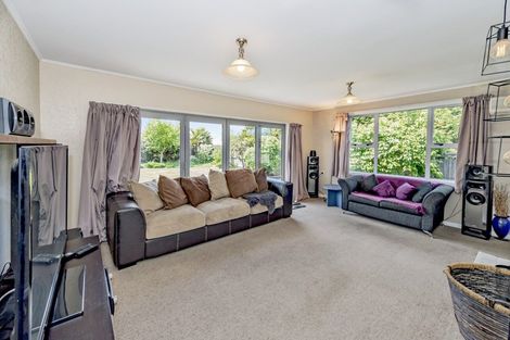 Photo of property in 43 Leeston Lake Road, Leeston, 7632