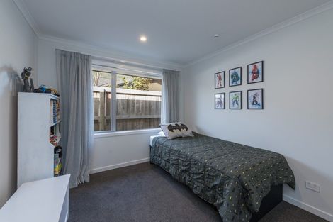 Photo of property in 12 Trek Place, Richmond, 7020