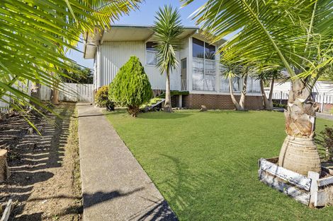 Photo of property in 328 Roscommon Road, Clendon Park, Auckland, 2103