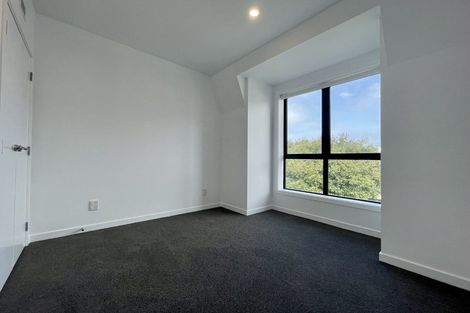 Photo of property in 408/2 Colombo Street, Newtown, Wellington, 6021