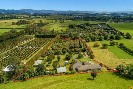 Photo of property in 480a Youngson Road, Whakamarama, 3179