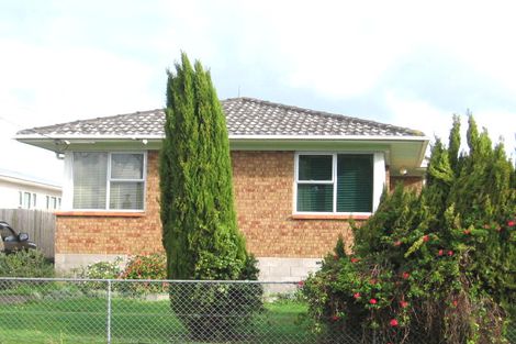 Photo of property in 21 Woodford Avenue, Henderson, Auckland, 0610