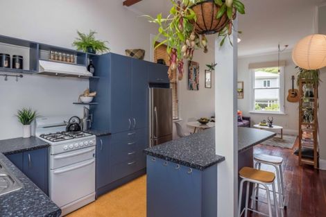 Photo of property in 46 Honiana Te Puni Street, Aro Valley, Wellington, 6021