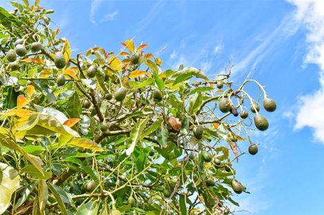 Photo of property in 22 Kauri Road, Pukekohe, 2120